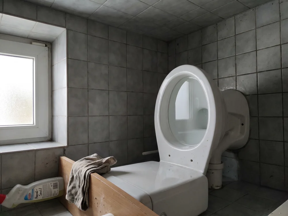 Toilette verstopft